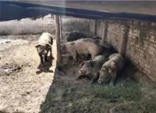 293437995_2875230162778051_4330588456366158211_n