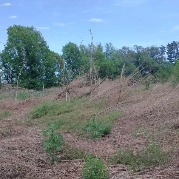 315212982_661519408707859_5179208709753434523_n