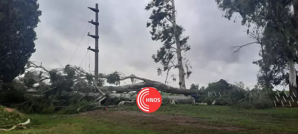 WhatsApp Image 2022-03-24 at 18.54.40 (1)