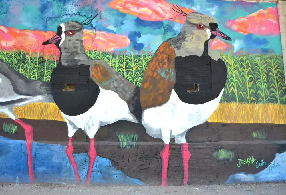 WhatsApp Image 2023-01-31 at 07.46.45