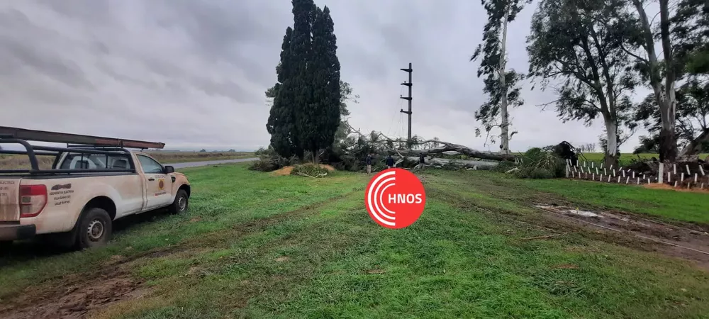 WhatsApp Image 2022-03-24 at 18.54.41 (1)