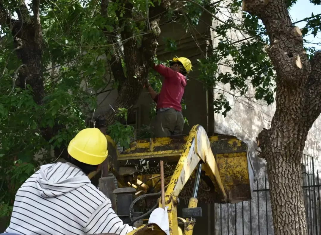 317600250_526534246185090_7921565087156675782_n