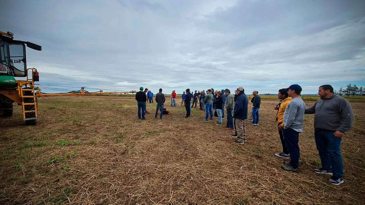 WhatsApp Image 2022-04-18 at 12.53.03 PM