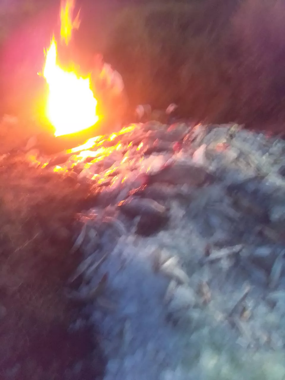 WhatsApp Image 2023-02-24 at 23.05.10 (1)