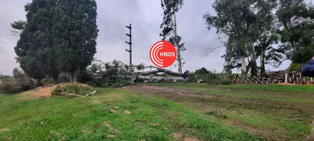 1e97f7eb-34a4-4a7e-9e07-ea80b2ce4bff