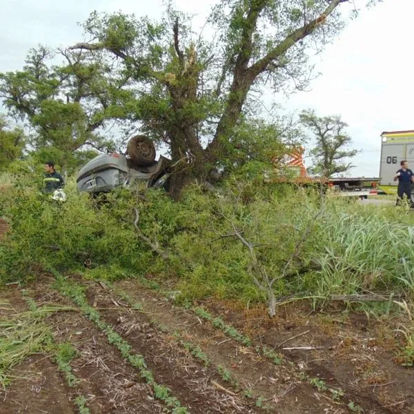 406424592_878073373719127_5833025001696578006_n