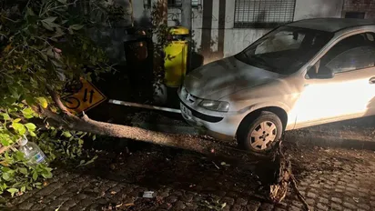 oficial-penitenciario-choco-un-arbol-la-plata