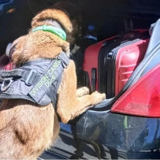 432888867_938959007630563_7805469500153179076_n