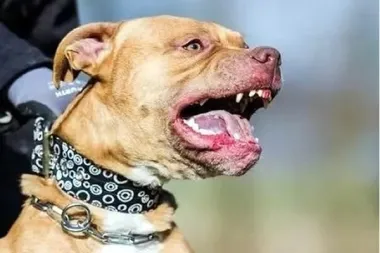 1428172w380h253c.jpg3