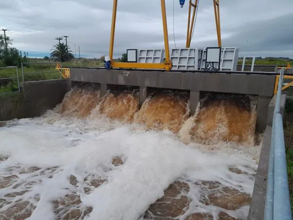 433094213_741757521462121_1726046595974645599_n