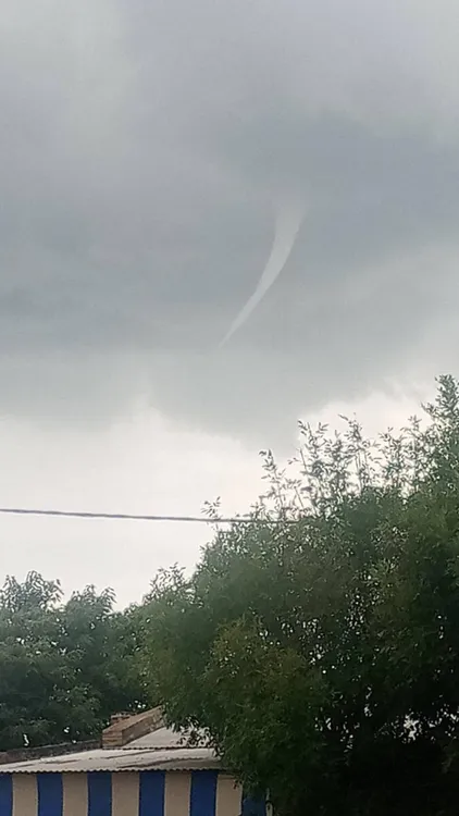 WhatsApp Image 2026-02-23 at 2.13.29 PM