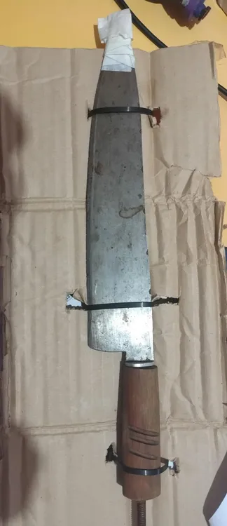 WhatsApp Image 2026-02-15 at 13.15.21