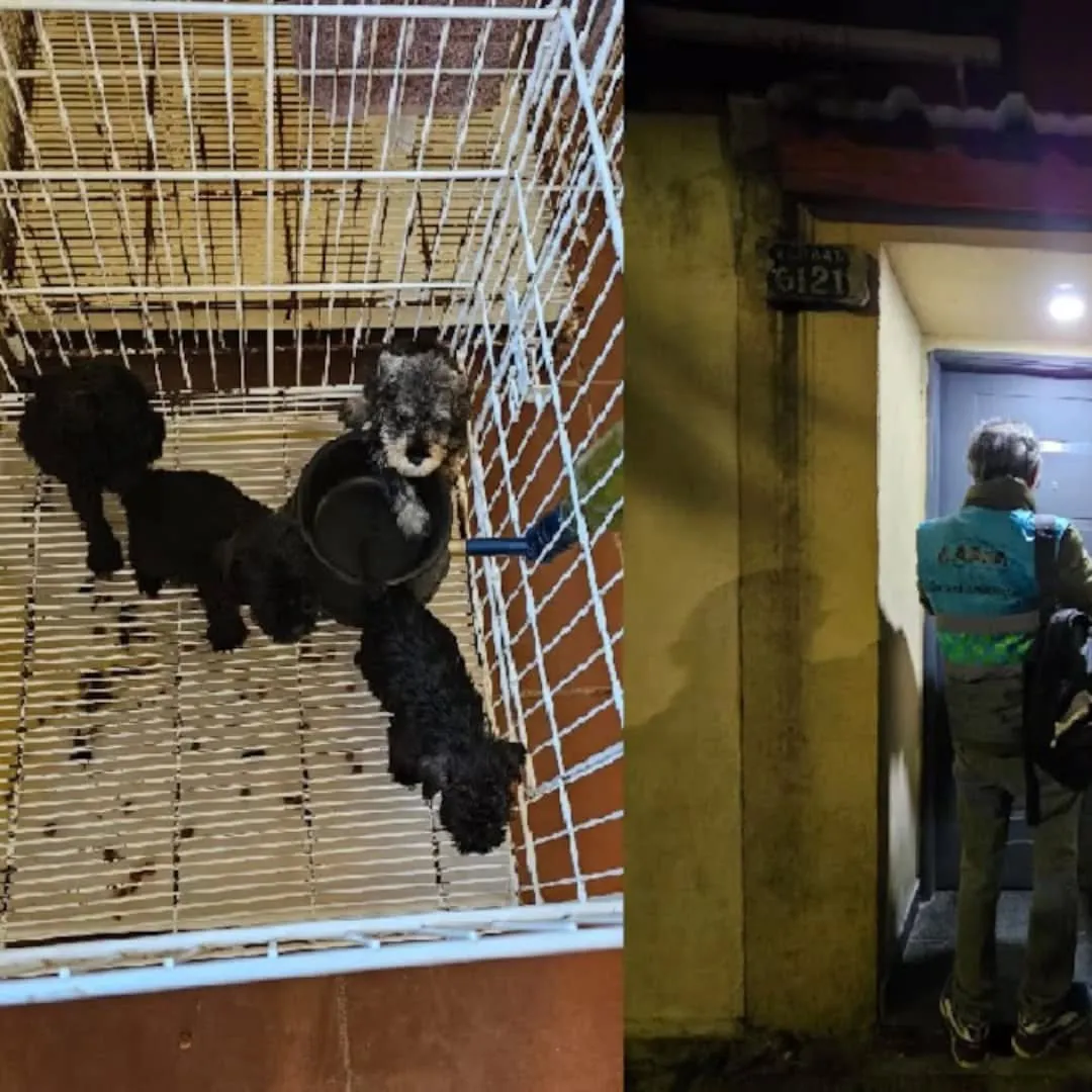 488979650_18045625820377787_1801428639356184852_n