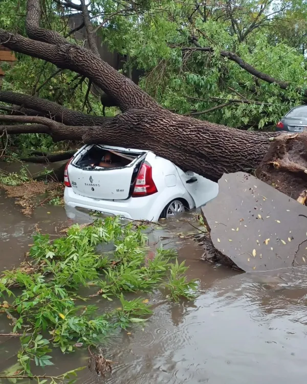 485362478_1136637971816270_8706138631863068405_n