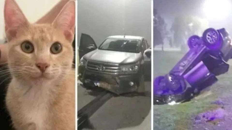 463341484_1065618591631270_8100279976907578378_n