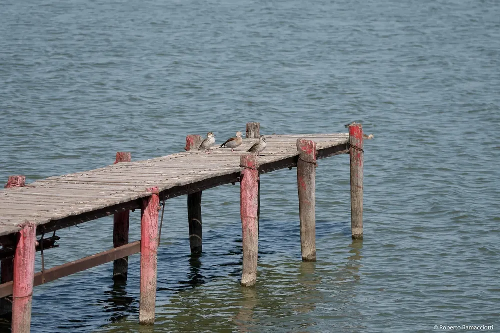 WhatsApp Image 2025-06-30 at 9.33.01 AM