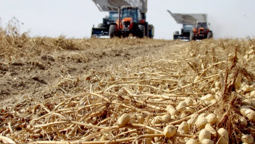 7169a0c5fb07c4ed6e7a1311b853ce43c4d5b4fc20dfca30_840