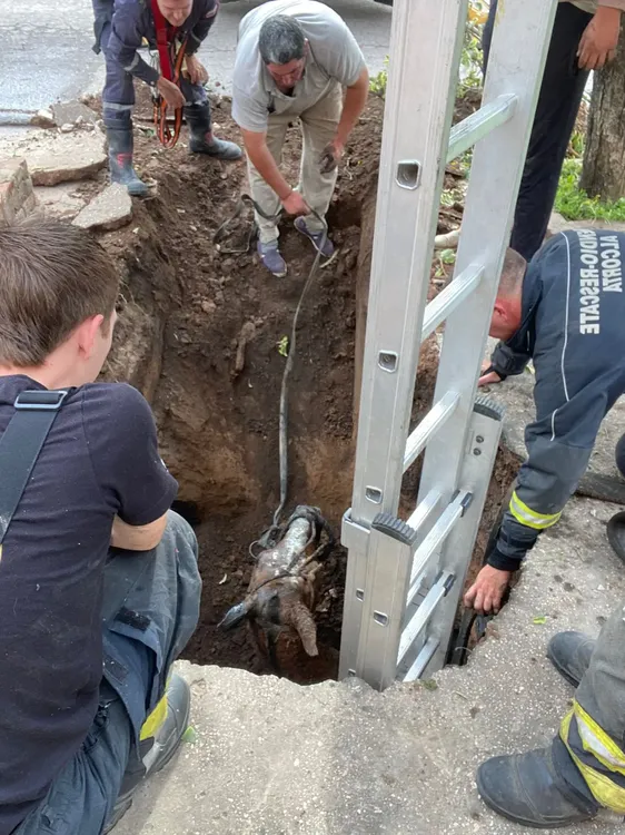 498023488_1286297033504716_3902732752397840216_n