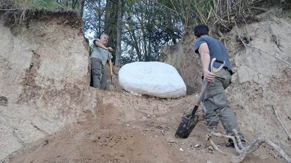 2025-05-07NID_282955O_2