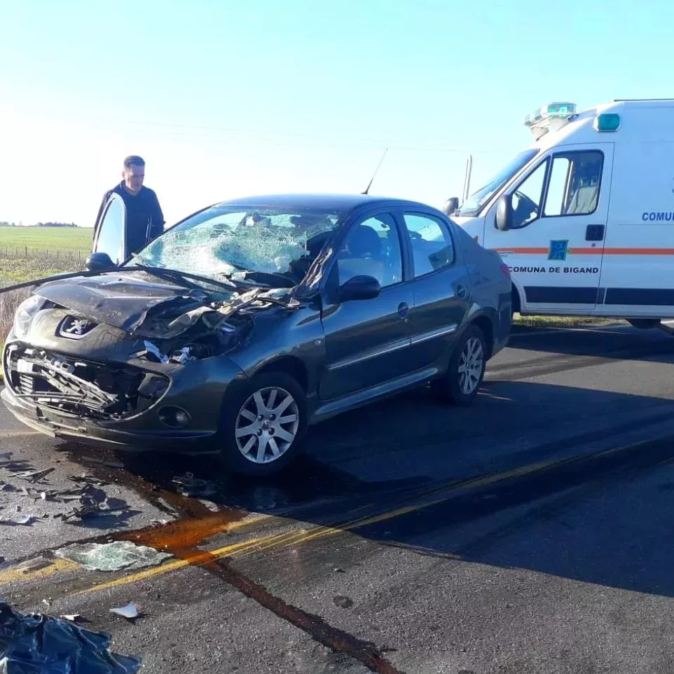 279445019_371445701668838_8236428231053302112_n