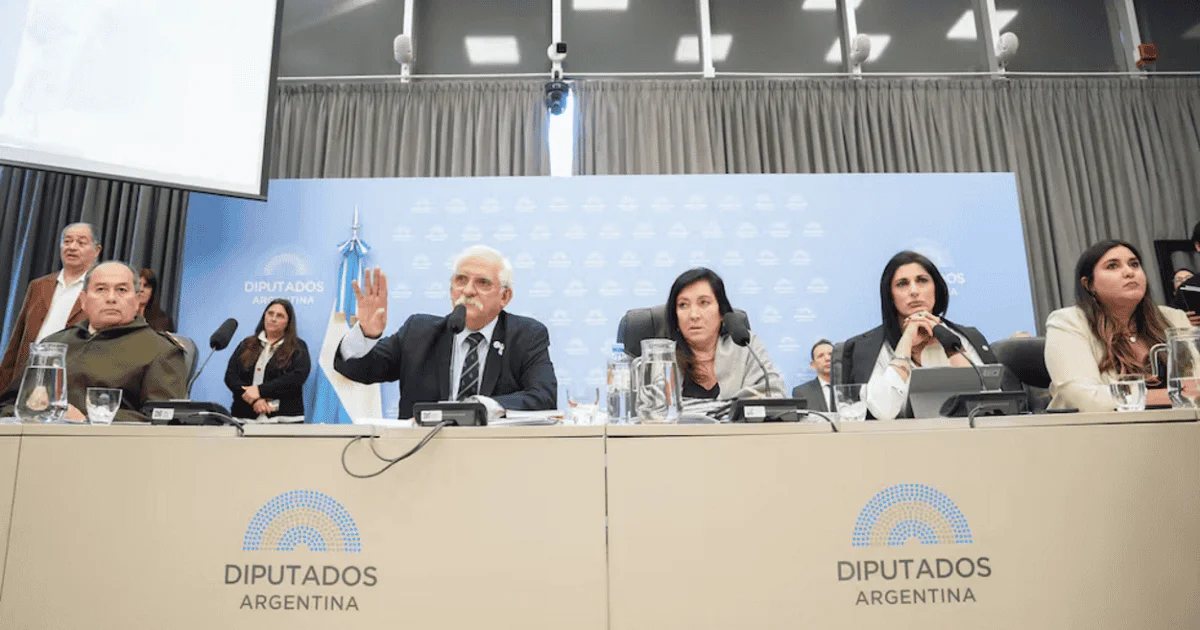 Defensa de la Soberanía: Diputados retoma el debate sin acuerdo