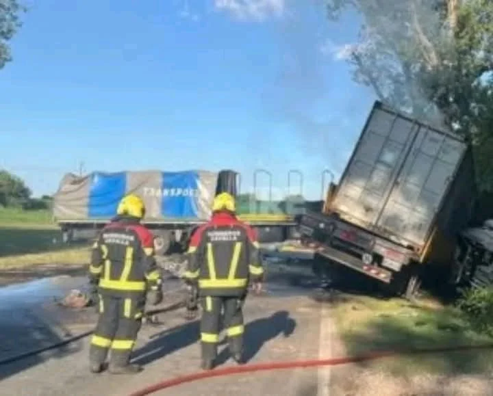 WhatsApp Image 2026-03-18 at 3.47.07 PM