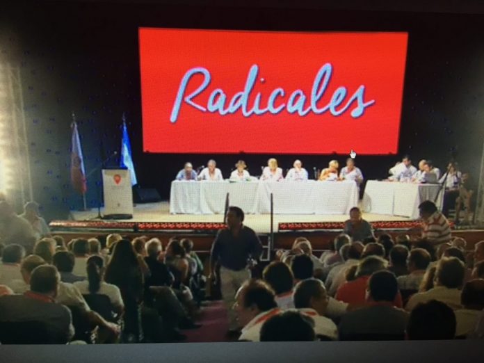 radicales-696x522