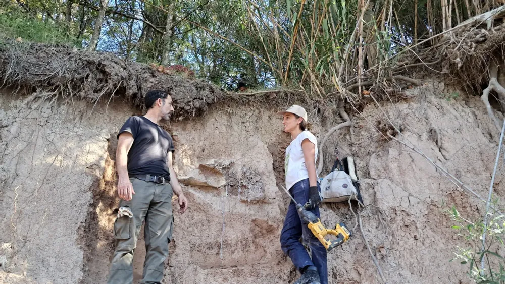 2025-05-07NID_282955O_3