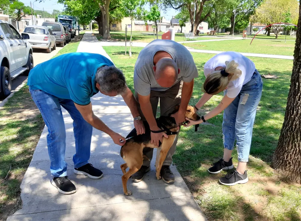 WhatsApp Image 2023-09-15 at 08.20.35