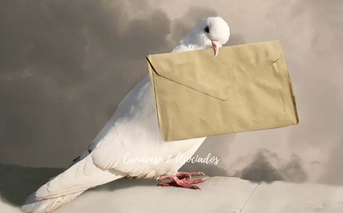 mensaje-guerra-perdido-paloma-mensajera_0_0_1200_747