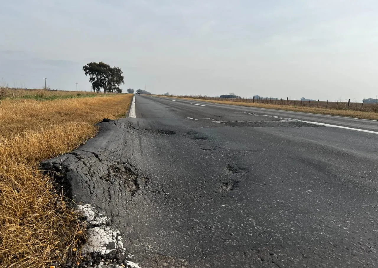 WhatsApp Image 2024-07-21 at 19.39.50