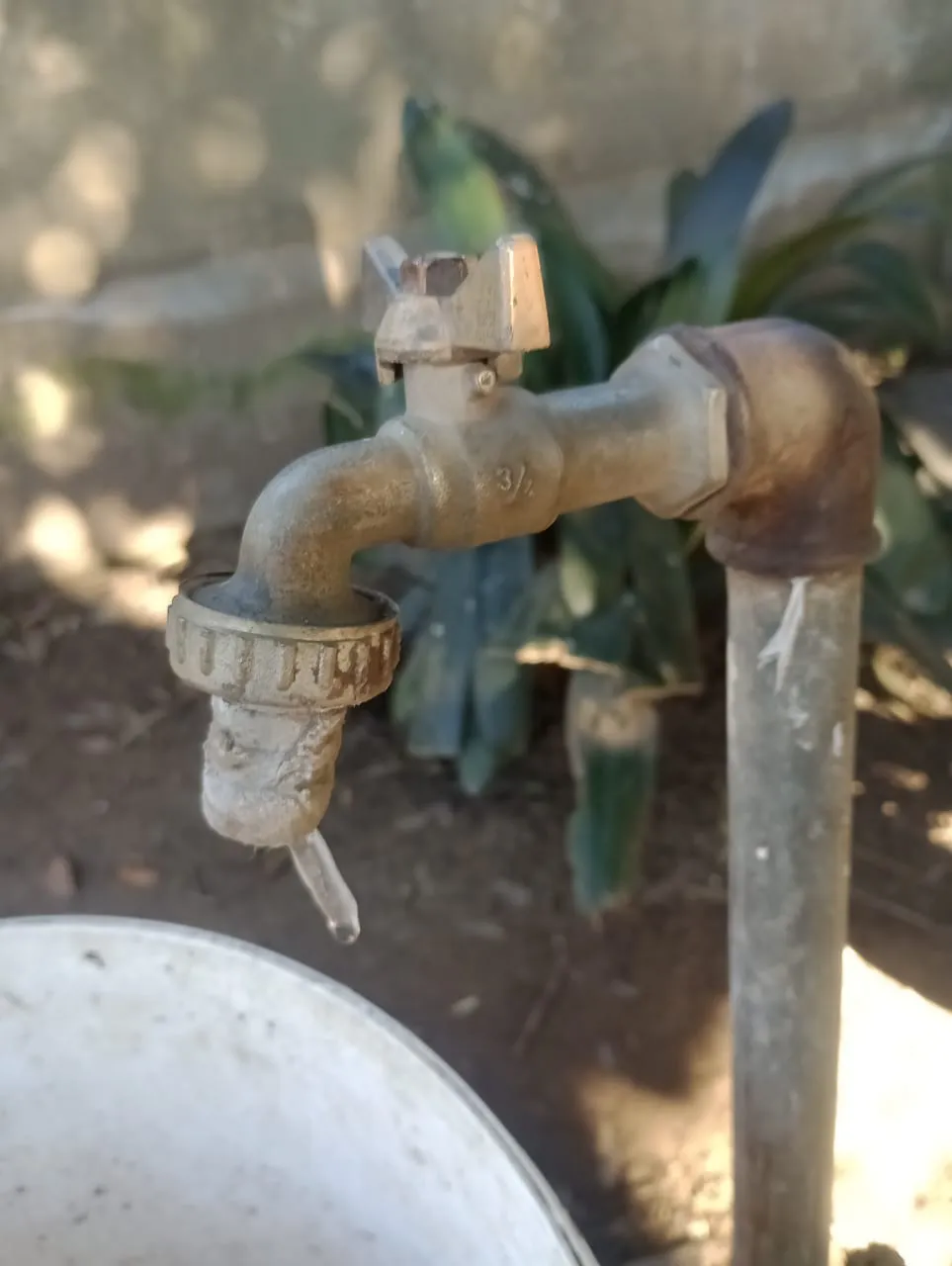 WhatsApp Image 2025-07-01 at 11.16.29 AM