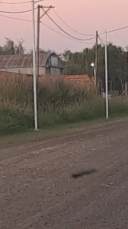 WhatsApp Image 2026-01-30 at 10.24.42 AM