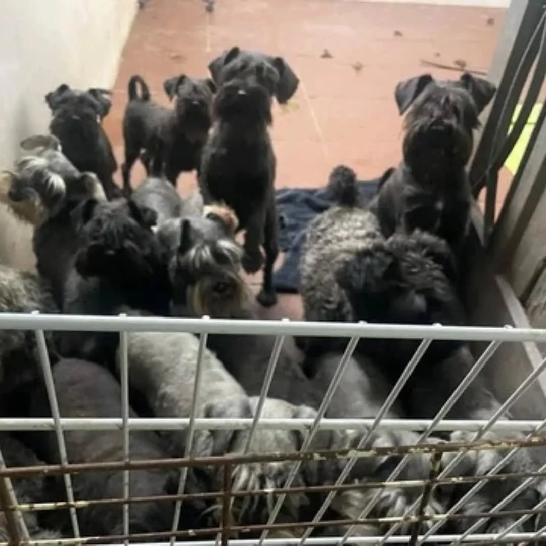 489852690_18045625829377787_9020565476363830853_n