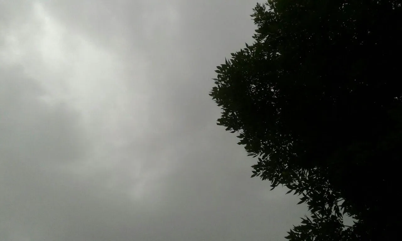 multimedia.normal.88e46ba373fd1dce.ZWM5OWI4NmEzZmU1N2UxNDkwOTdlZjJlODc0M2MxMzdfbm9ybWFsLndlYnA%3D