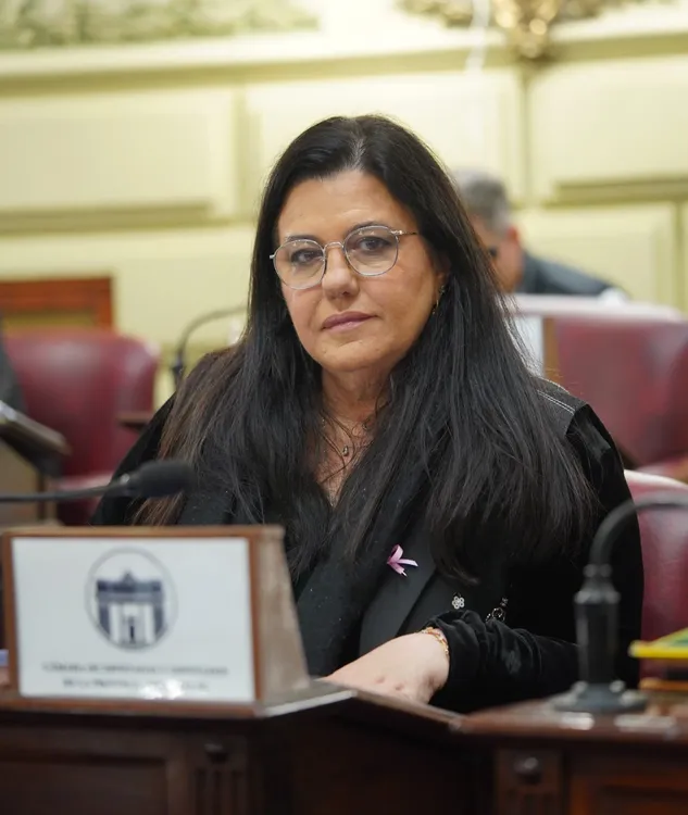 Castellani propone reforzar la prevención del suicidio y el acompañamiento posterior