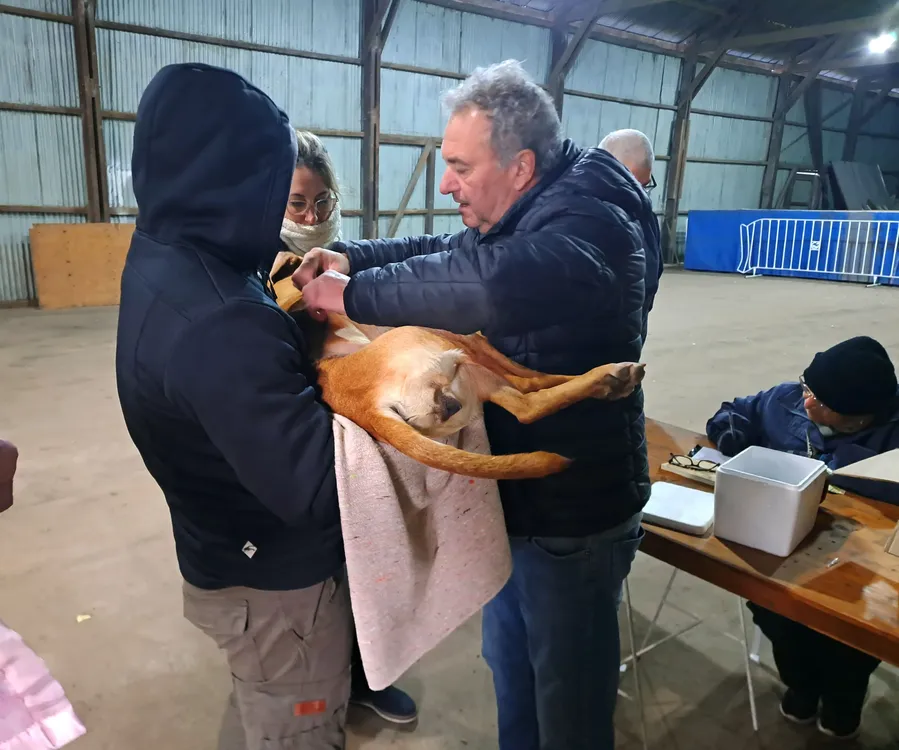 WhatsApp Image 2025-07-07 at 8.49.40 AM (1)