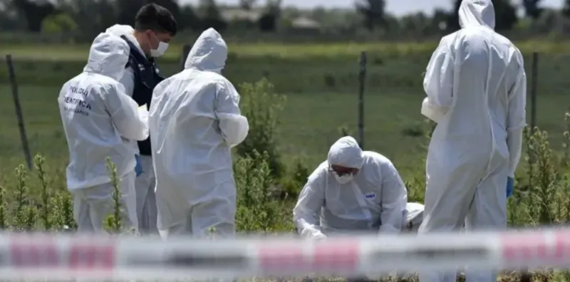 WhatsApp Image 2024-10-07 at 7.49.26 AM (1)