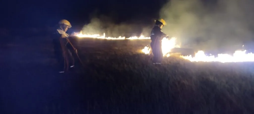 06082023-1916-2-scaled