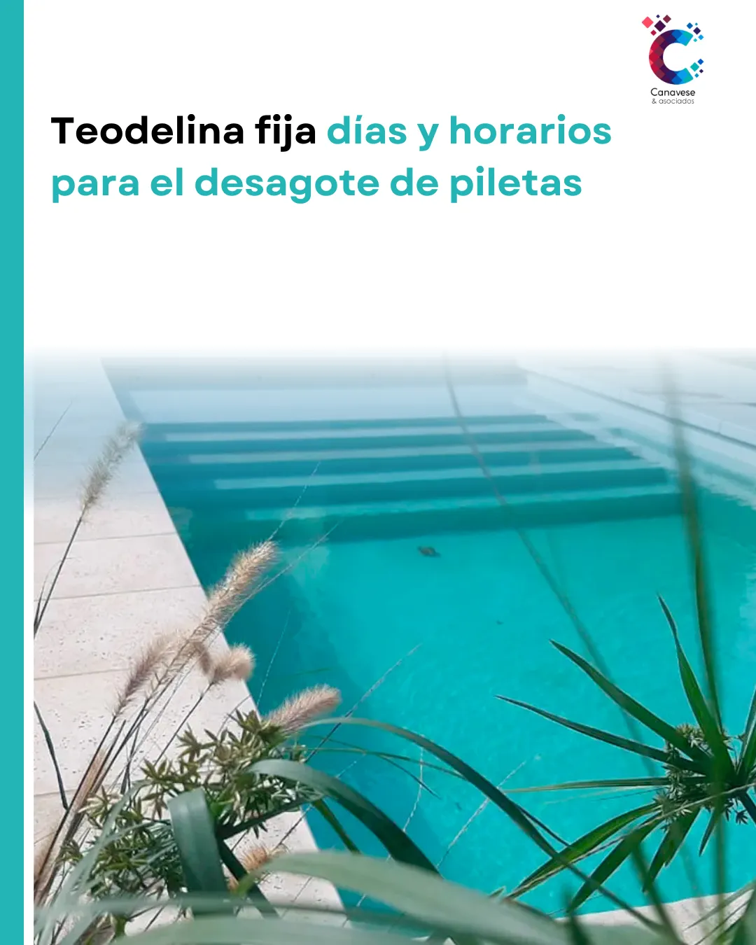 Carrusel Nuevo 2 (1)