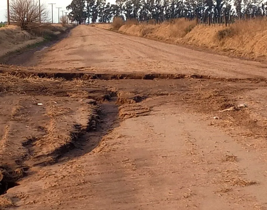 WhatsApp Image 2025-09-03 at 9.37.36 AM