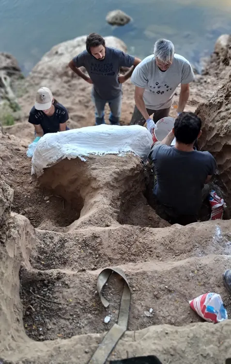 2025-05-07NID_282955O_4