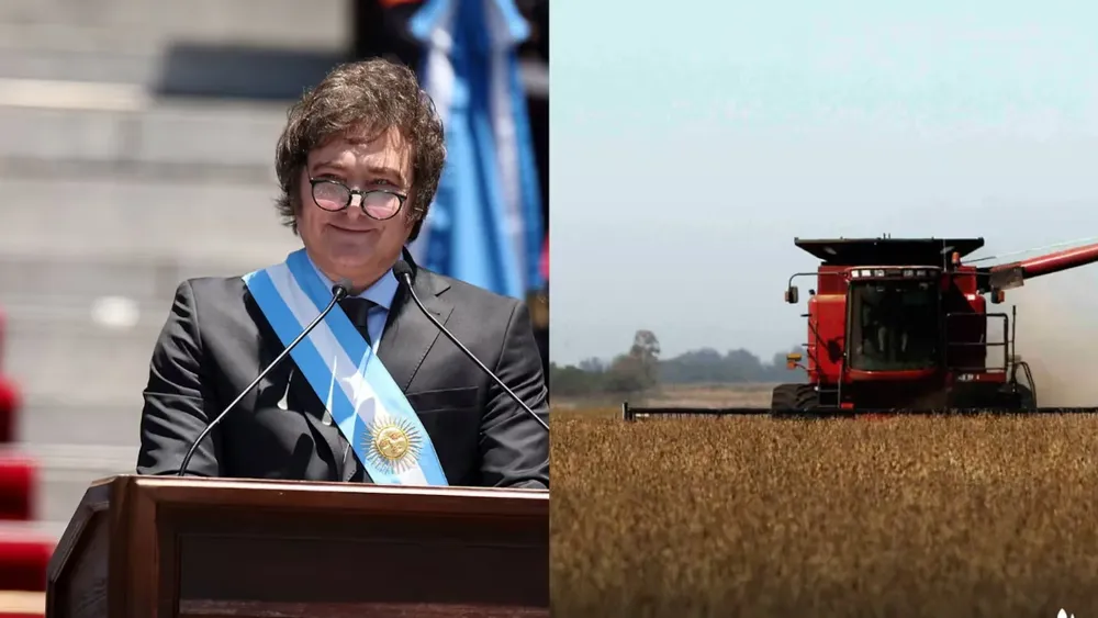 la-cotizacion-de-la-soja-en-argentina-y-en-chicago-se-encuentra-en-su-nivel-mas-elevado-desde-que-se-inicio-la-presidencia-de-javier-milei-en-diciembre-de-2023-foto-reuters-HSBA3ZCZQBBKZC6FWGMWSAMSZA