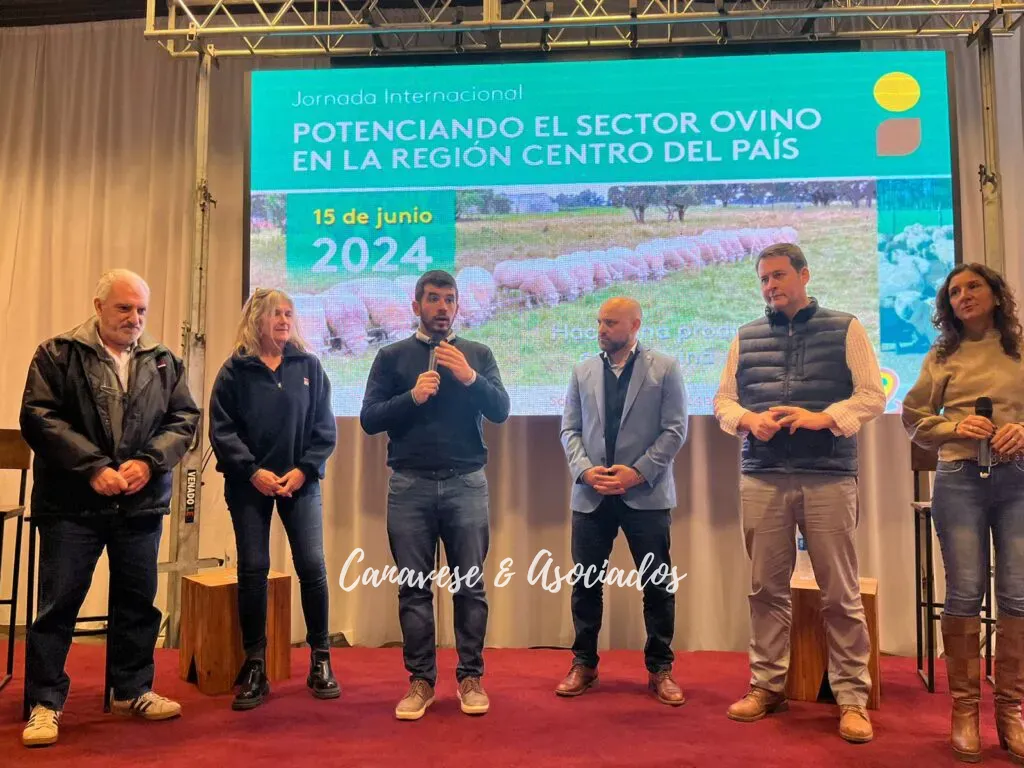 Imagen-de-WhatsApp-2024-06-15-a-las-09.29.50_a9e1f990-scaled