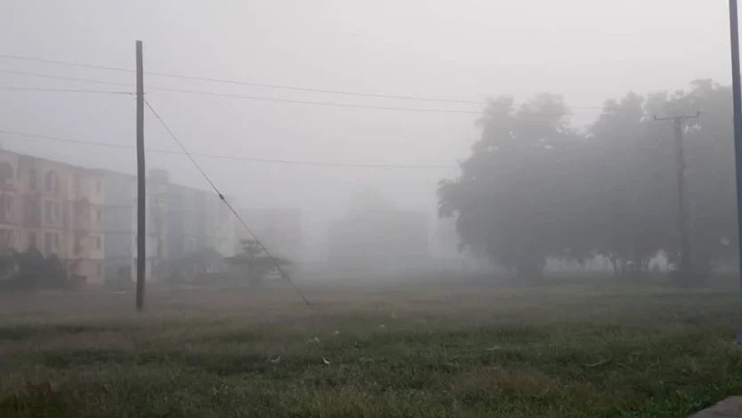 full-niebla