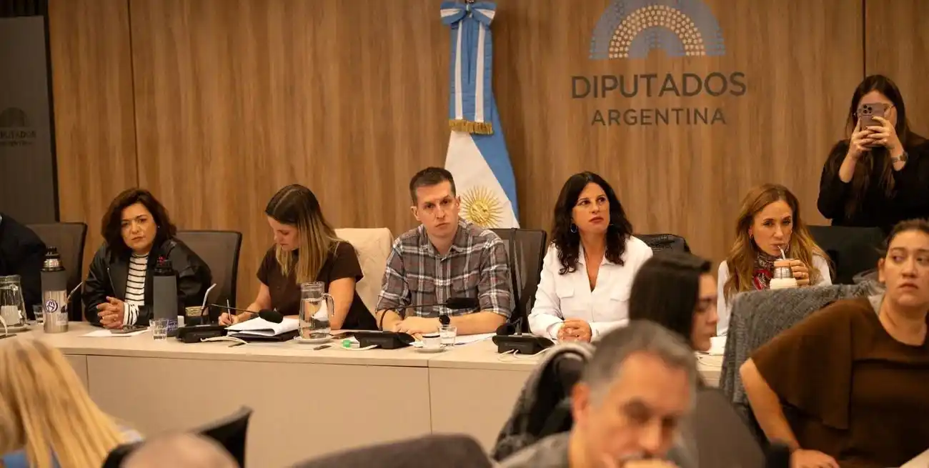 comision_de_discapacidad