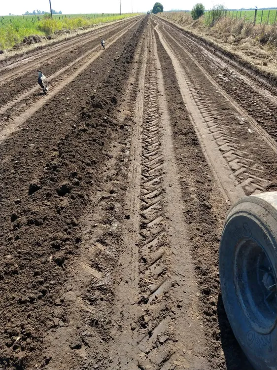 506612930_1017096403928881_1652451074899715988_n