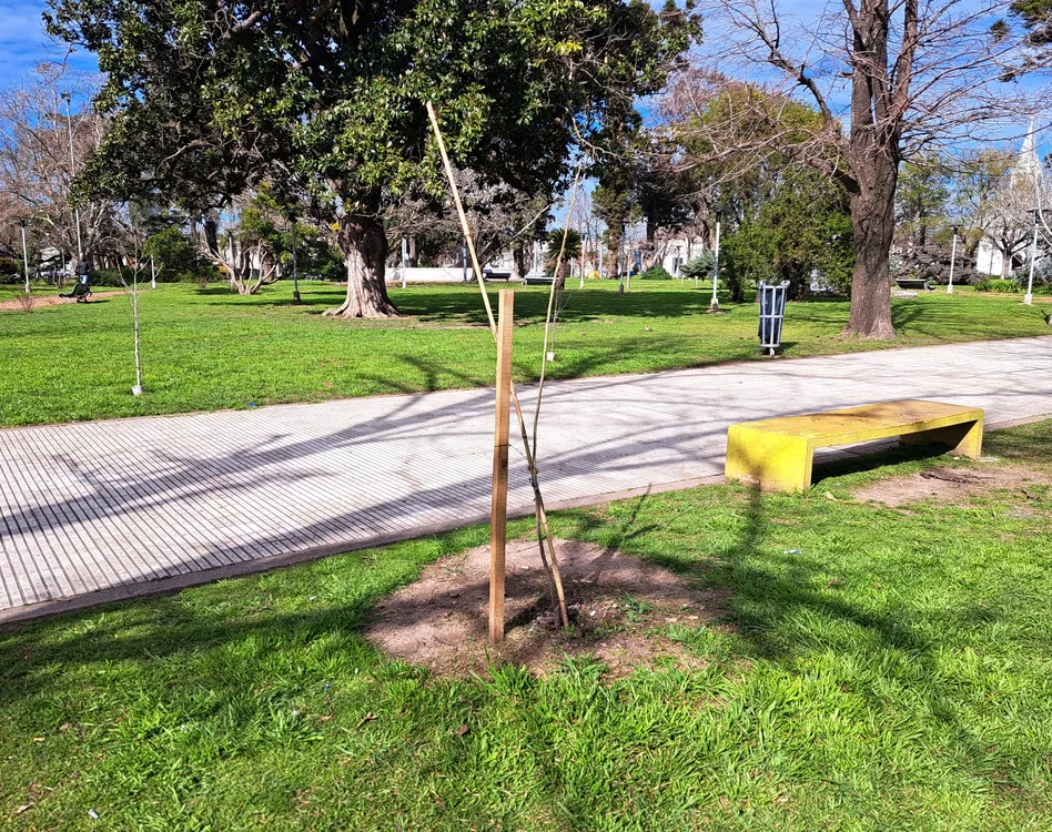 WhatsApp Image 2025-08-13 at 12.42.45 PM