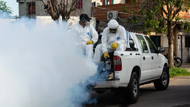 2023-04-11-dengue1jpg