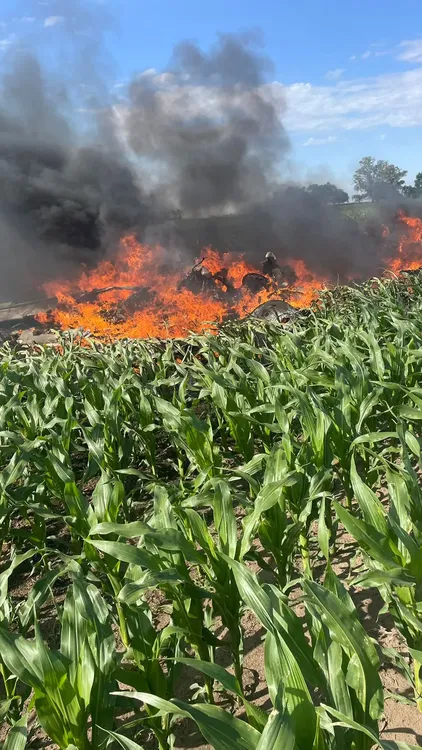 WhatsApp Image 2023-11-12 at 17.42.48